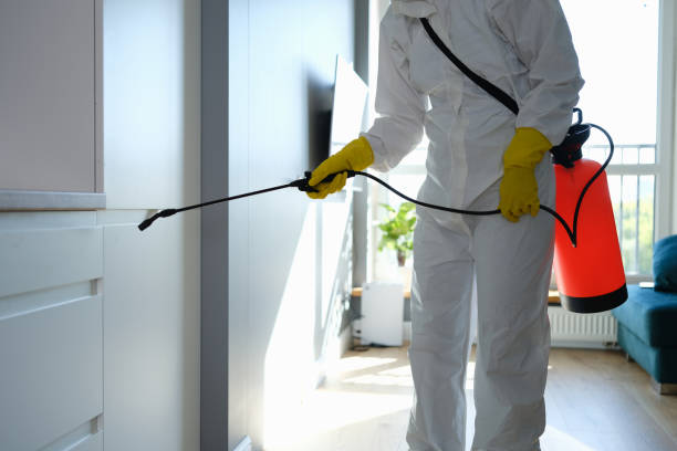 Office Mold Removal Services in Highlands Ranch, CO